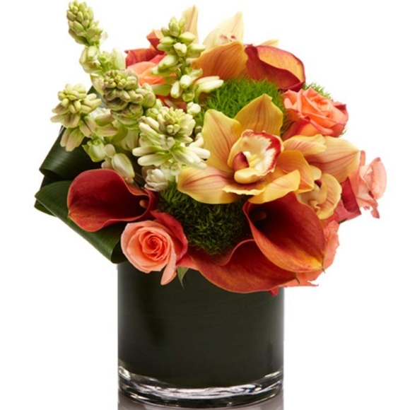 Yves Rocher Hydra Vegetal Gel Cleanser  Exfolianting Gel French Full Size NWT - Picture 2 of 9